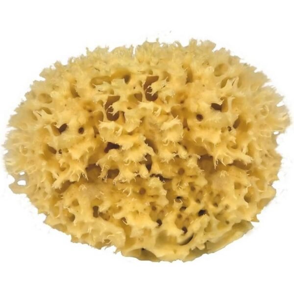 CROLL & DENECKE M140 Natural Scrub 14 cm 1 a une surface douce mais texturée qui aide à éliminer en douceur les cellules mortes de la peau et améliore la circulation sanguine.