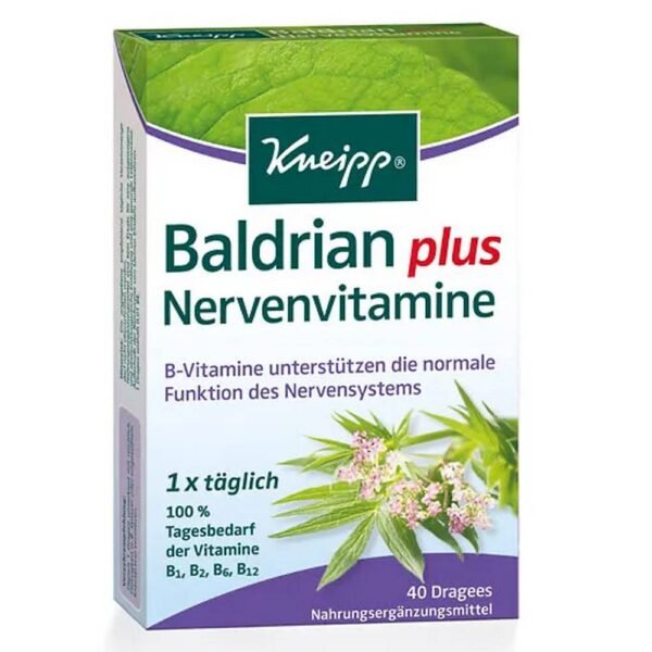 A good supply of B vitamins - tailored to the function of the nervous system - is important for coping with everyday life and also in stressful situations.